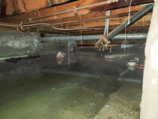 Best Wood Floor Water Damage Restoration in Grants, NM