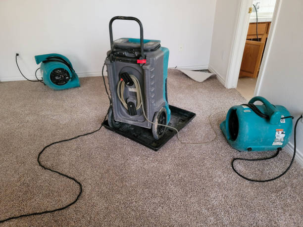 Odor Removal and Sanitization After Water Damage